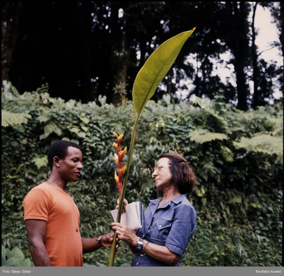 En man och en kvinna håller ett stort blad, Västindien, Martinique.