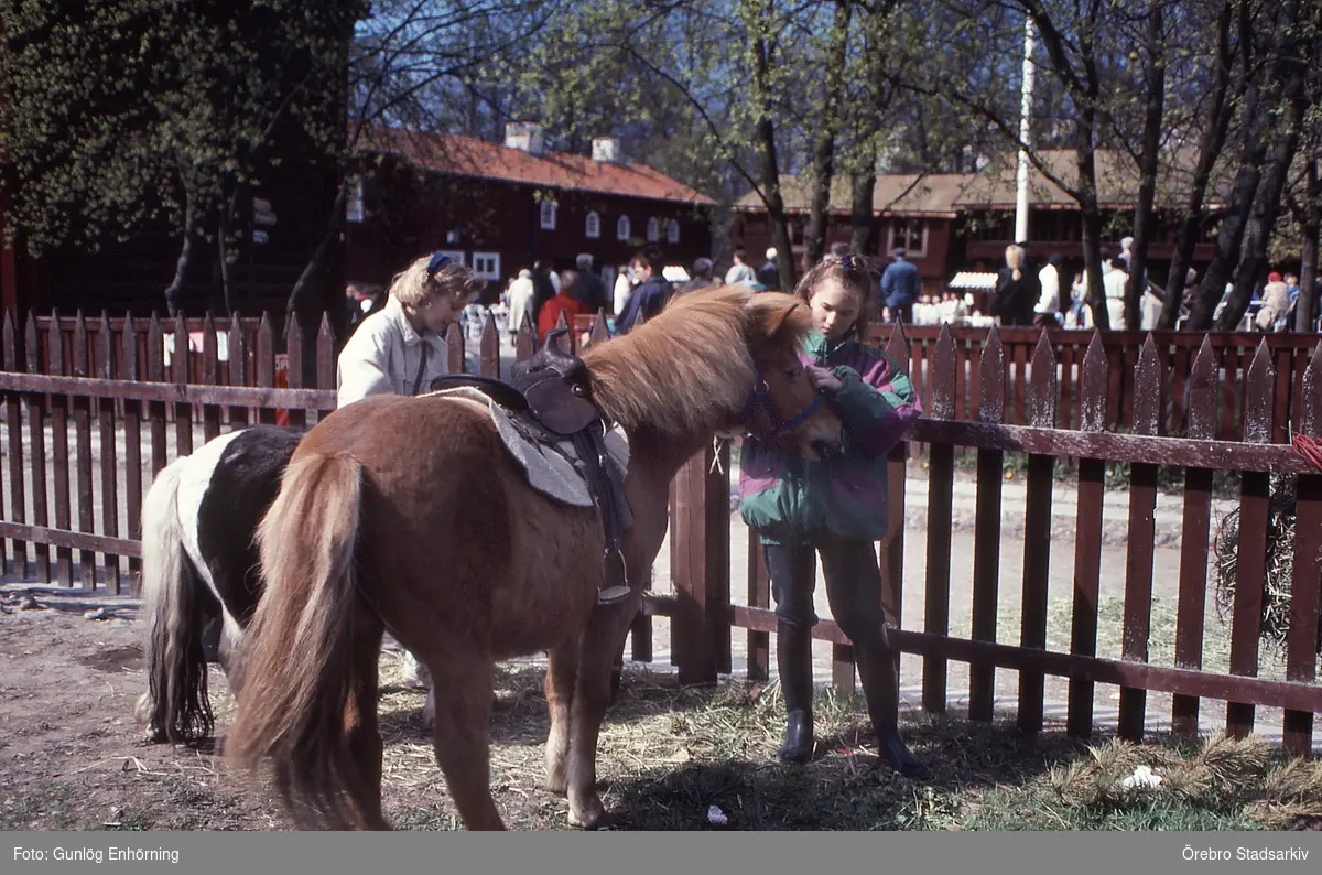 Flicka med sin ponny