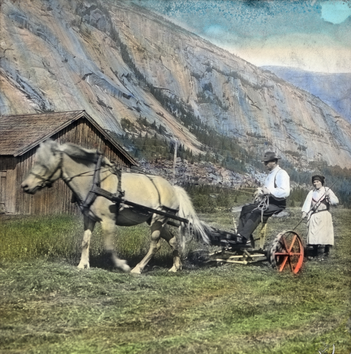 Håndkolorert dias. En mann sitter på en slåmaskin som er spent for en fjording. Bak går en kvinne kledd i hvit setesdalsdrakt og samler gress med en rive.