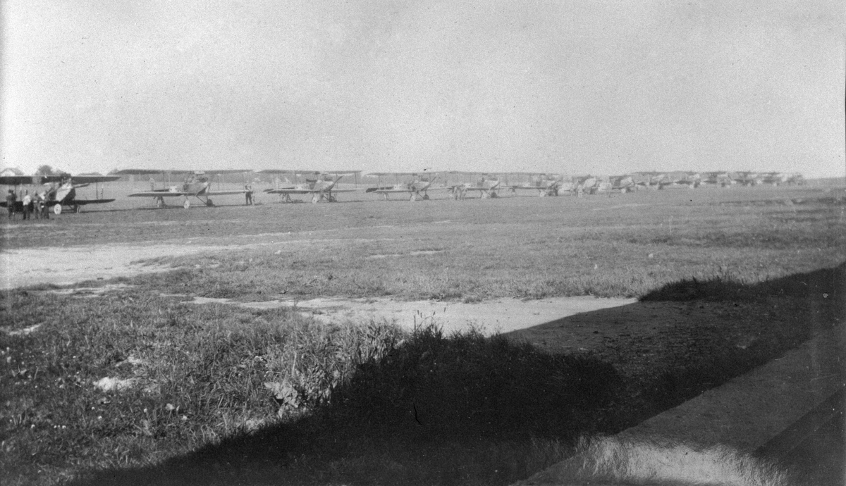 Svenska militärflygplan uppställda på linje på ett flygfält, 1920-tal. Bland annat flygplan Phönix Dront och flygplan Albatros..
