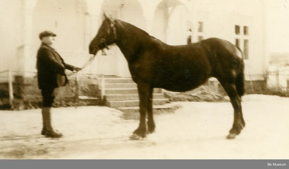 Mann og hest, Gunnulv Borgen