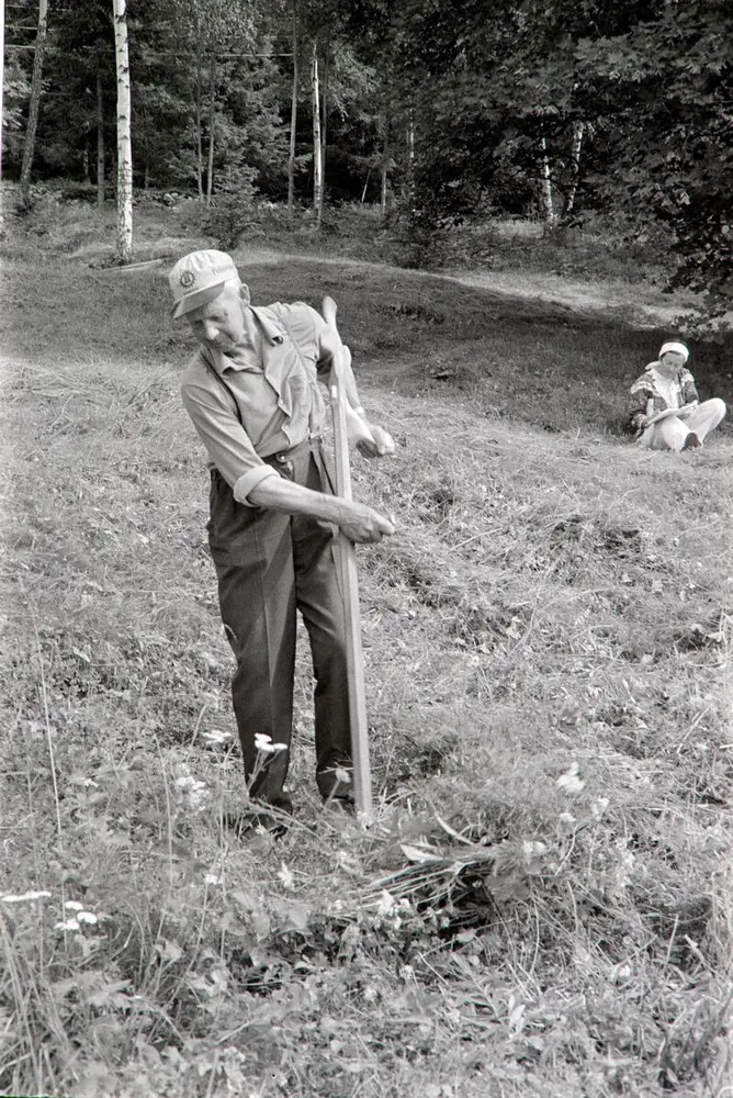 Eldre mann med skyggelue, skjorte med oppbrettede ermer og mørke bukser slår gress med en ljå. I bakgrunnen ser vi skog og ei jente som sitter i gresset.