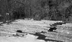 Tømmertillegging ved og på elva Vismunda i mai 1955, Dette v