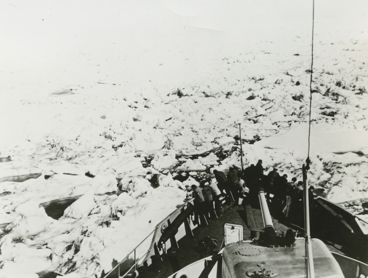 Diverse bilder från Fred Goldbergs samling. Motiv av isbrytaren USS Burton Island som bryter genom is utanför Alaska, 1956.