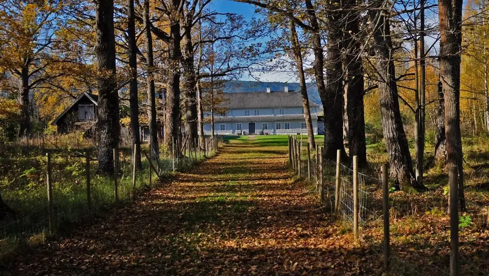 Alléen mot Eidsfoss Hovedgård. Foto: Vestfoldmuseene.