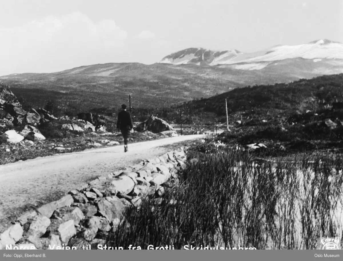 fjellandskap, vei, mann