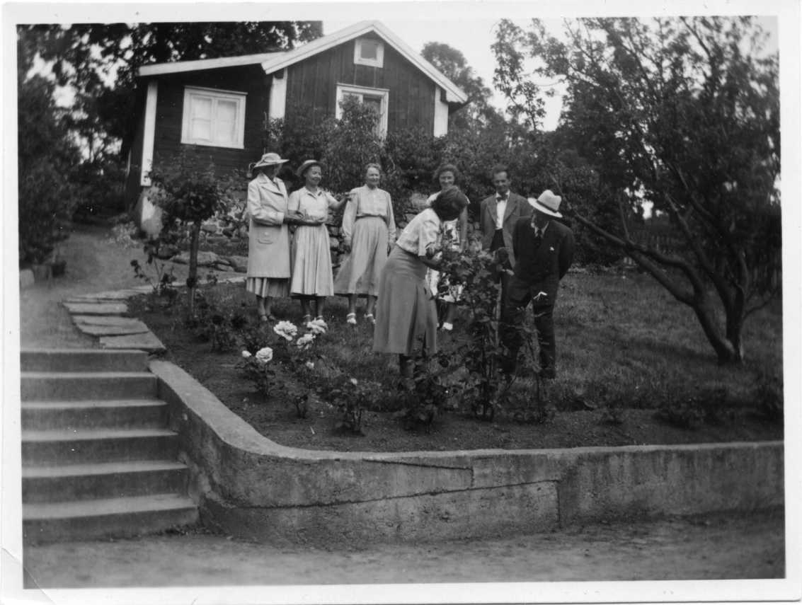 Fem kvinnor och två män står i en trädgård. Två av dem, en kvinna och en man med hatt, står och tittar på en rosbuske. En liten stuga med tillbyggnad bakom dem.