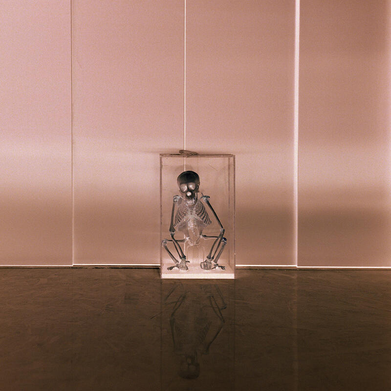 Image of a glass case with the skeleton of a small monkey. The image is negative, with a rose tint. Photograph.