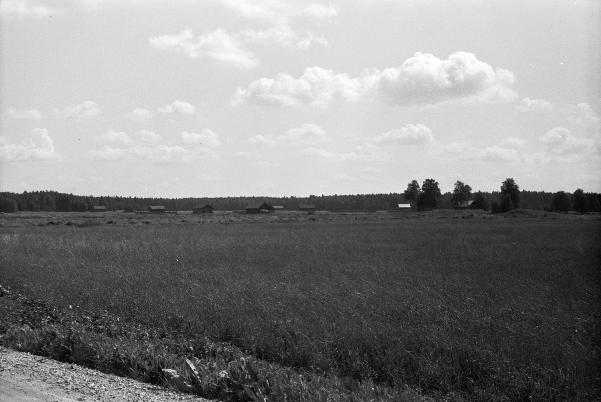 Landskapsvy med ängslador på Bälinge mossar, Uppland 1981
