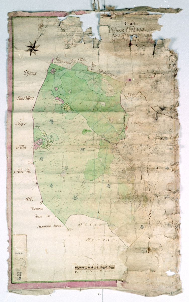 Karta. Kolorerad. Visar Söder-Edingesbys ängs- och skogsmark, Tuna socken, Uppland. Datering 1769.
