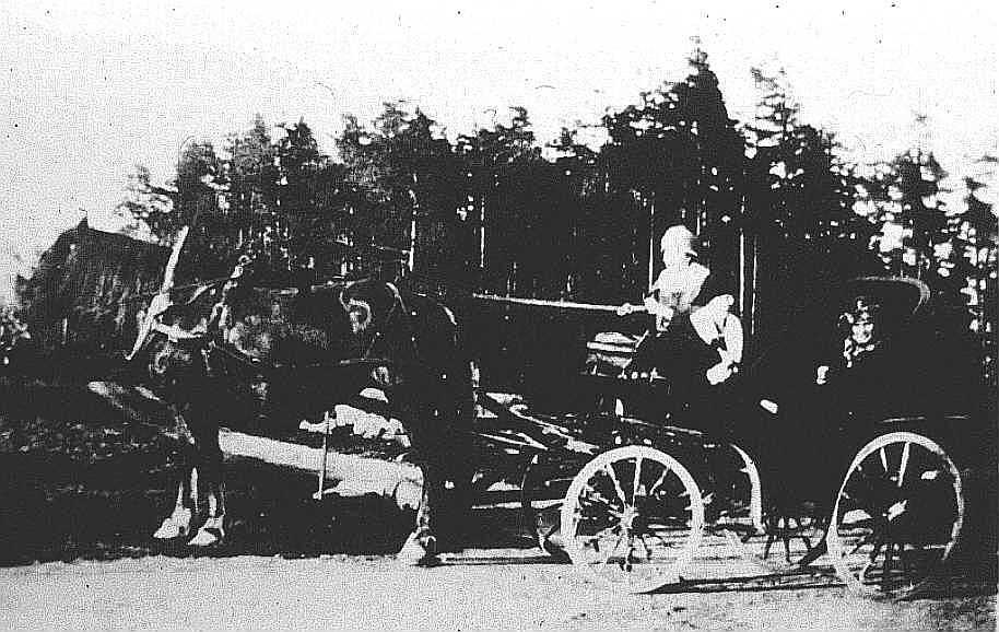 Kjøretur med hest på Haraldstad i Tune