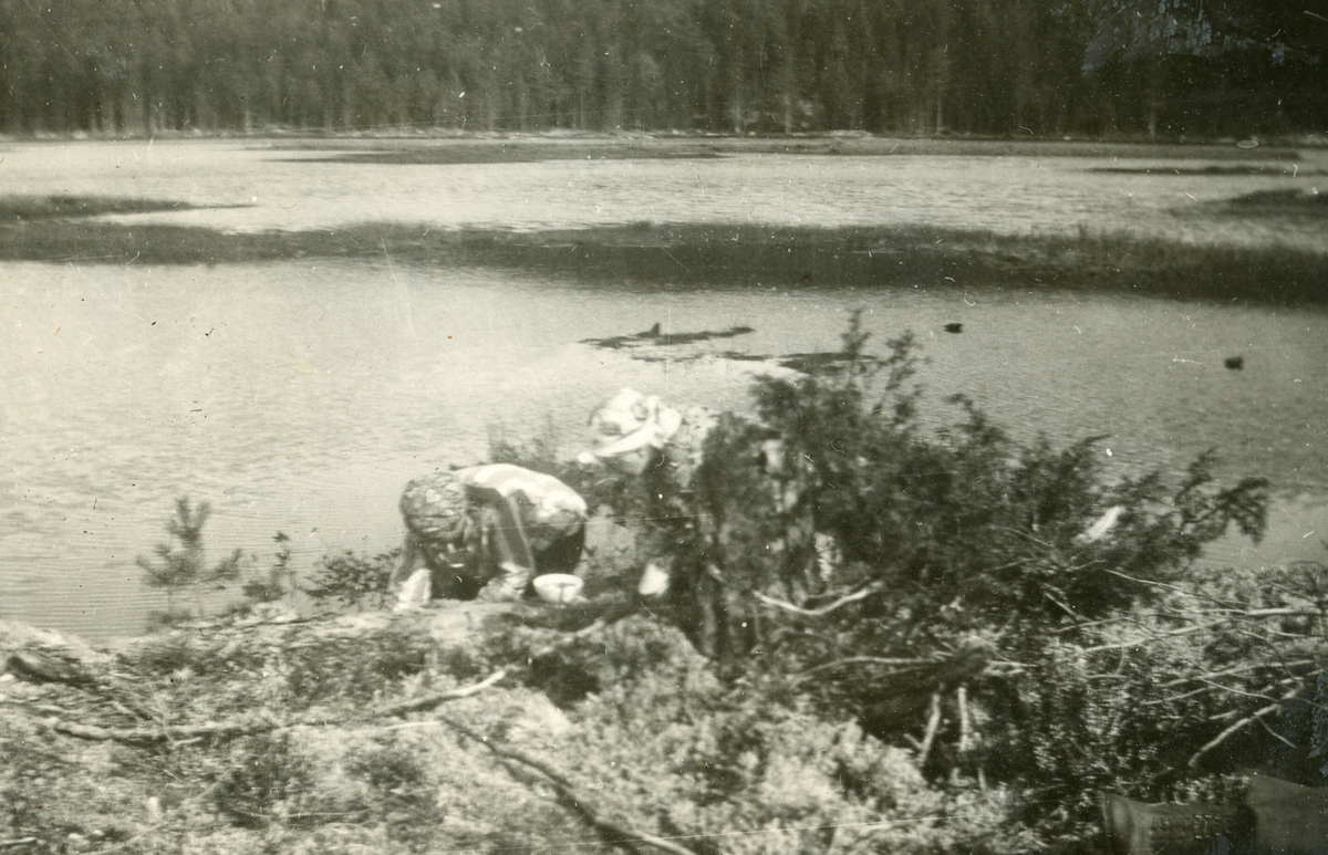 Sju bilde som viser kvinner ute i naturen.  Alle bilda er tatt i 1926.  
