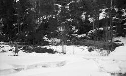 «Tømmertillegging på snøen» ved Vinstra i Nord-Fron i Midt-G