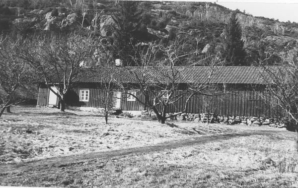 Långsträckt gårdslänga i Anneberg, söder om järnvägsstationen. I förgrunden fruktträd och bakom huset reser sig ett berg.