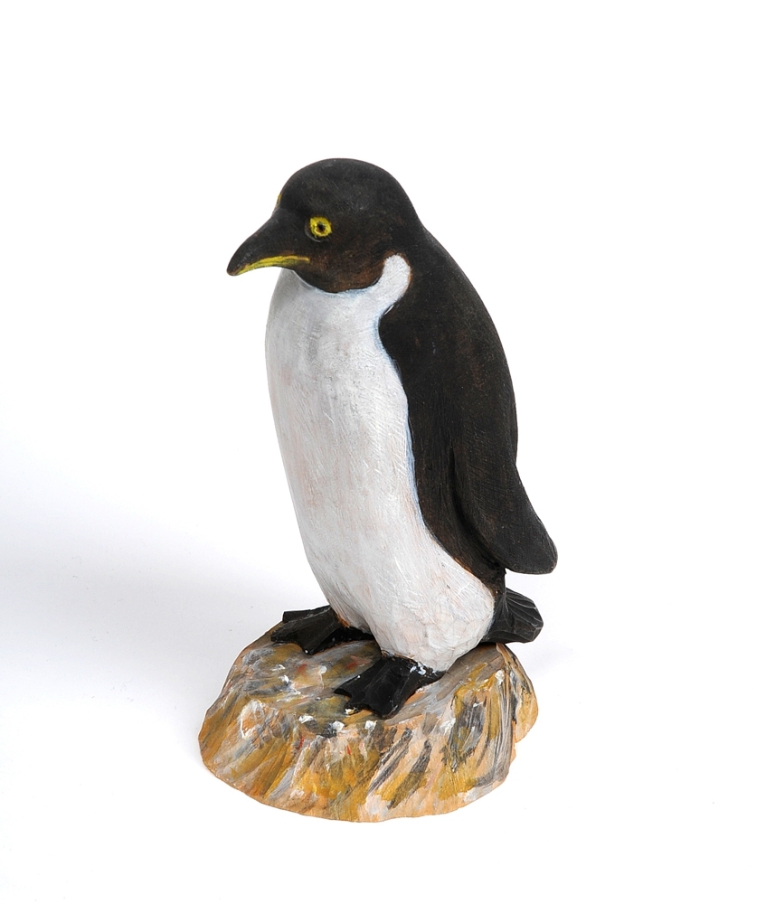 Pingvin - fugl på "steinsokkel"