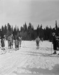 Skiløpere i Birkebeinerrennet påsken 1932