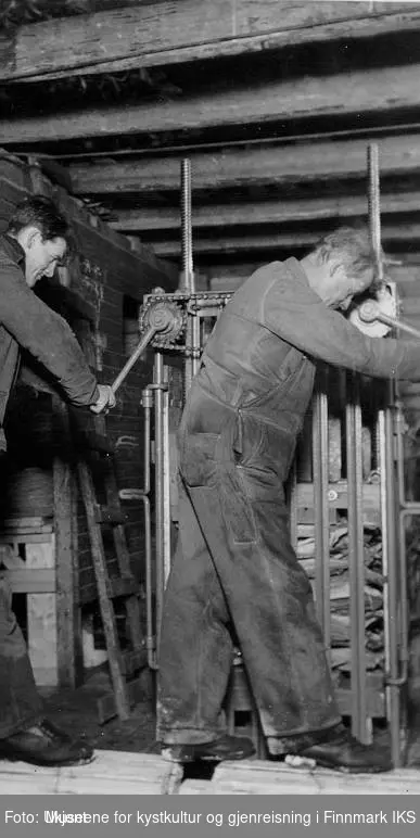 Bildet viser to menn som betjener en tørrfiskpresse. Bildet ble trolig tatt på 1930-tallet da familie Normann fra Melkøya i Finnmark ønsket å kjøpe en tørrfiskpresse selv. 