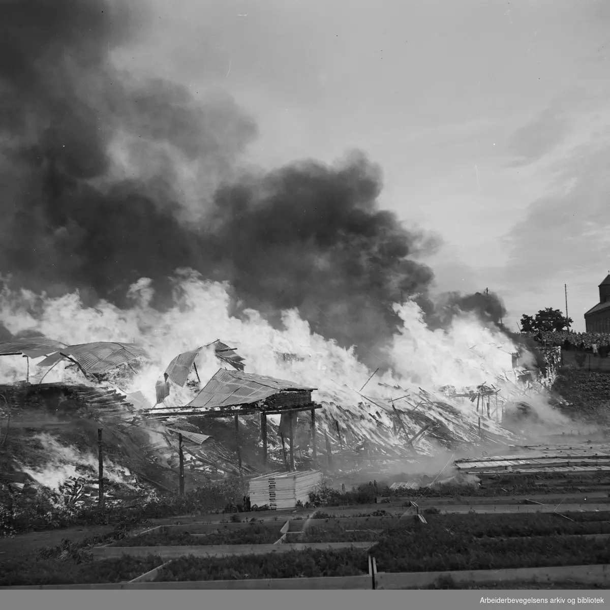 Katastrofal brann på Åsen etter barns lek med fystikker. 12 juni 1950