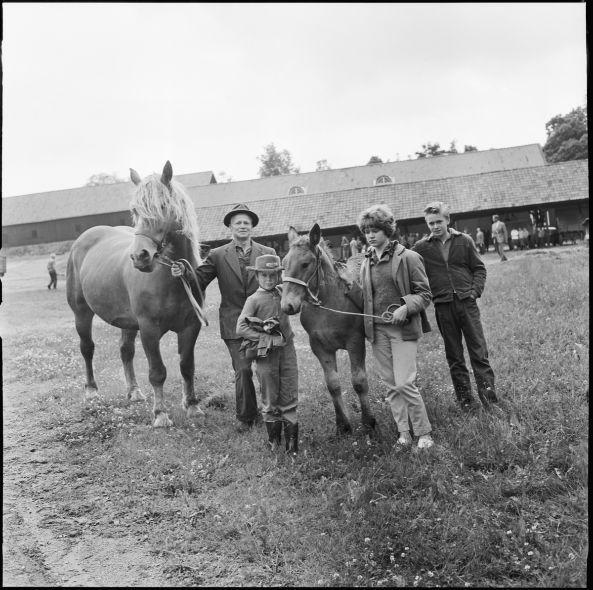 Lantbrukshögskolan hästpremiering på Ultuna, Uppsala 1962