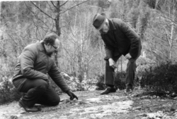 Bjørn Sandberg og Gunvald Braaten ved slipemerker i fjellet,