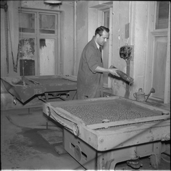 John Smith i arbeid med korning av offsetplater i sliperiet 