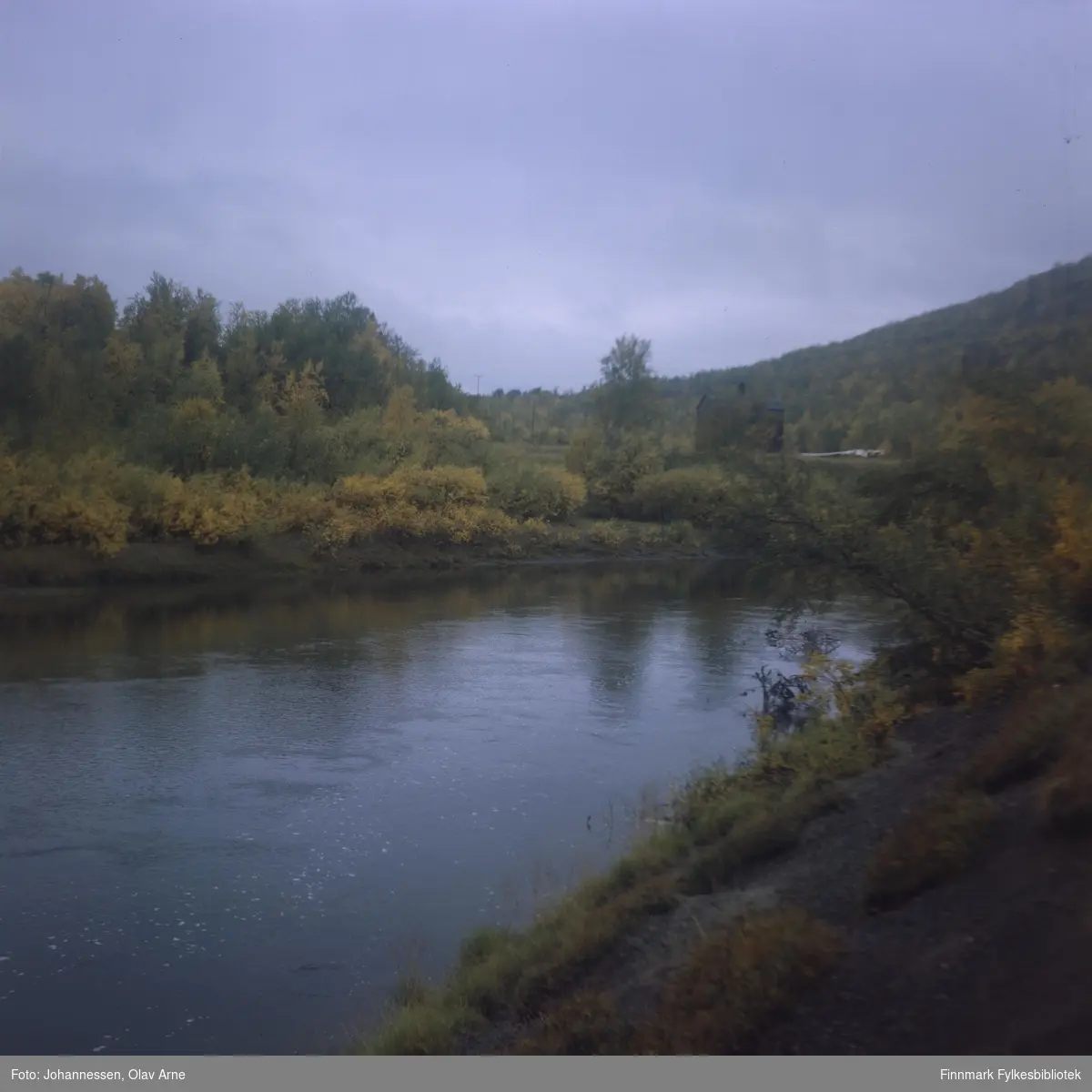 Foto av elv omringet av bjørkeskog, antagelig i Finnmark 

Foto trolig tatt på 1960/70-tallet