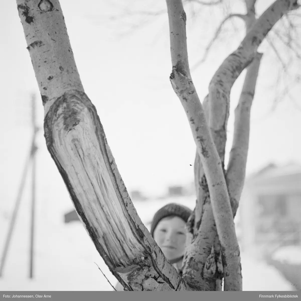 Foto av ukjent gutt bak et tre 

Foto trolig tatt på tidlig 1970-tallet i Finnmark (eller Nord-Norge) 