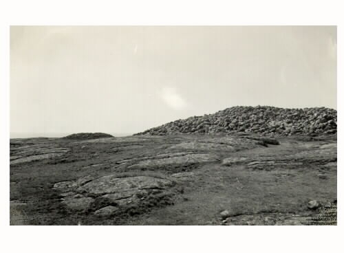 Fornlämningar på Getterön, Stora Gubbanäsan. Bild E1534 visar gravröse och fornstrandlinjer, övriga två bilder visar gravrösen från bronsåldern.