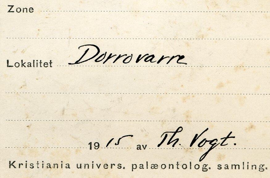 Etikett i eske:
Dorrovarre
1915 av Th. Vogt.