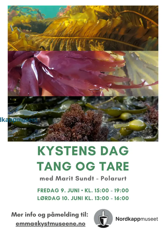 Plakat kystensdag