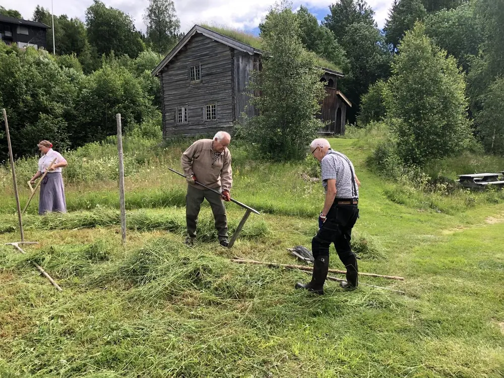 To eldre menn og ei dame som hesjer høy. I bakgrunnen står eltdasstua.