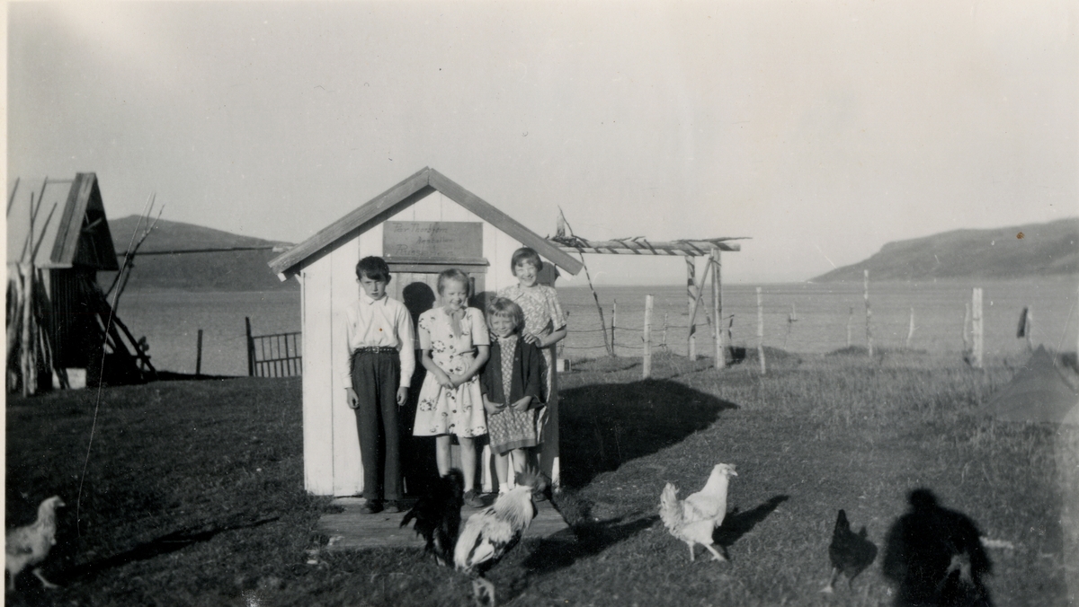Barneflokk og høner ved bukta i Olderfjord