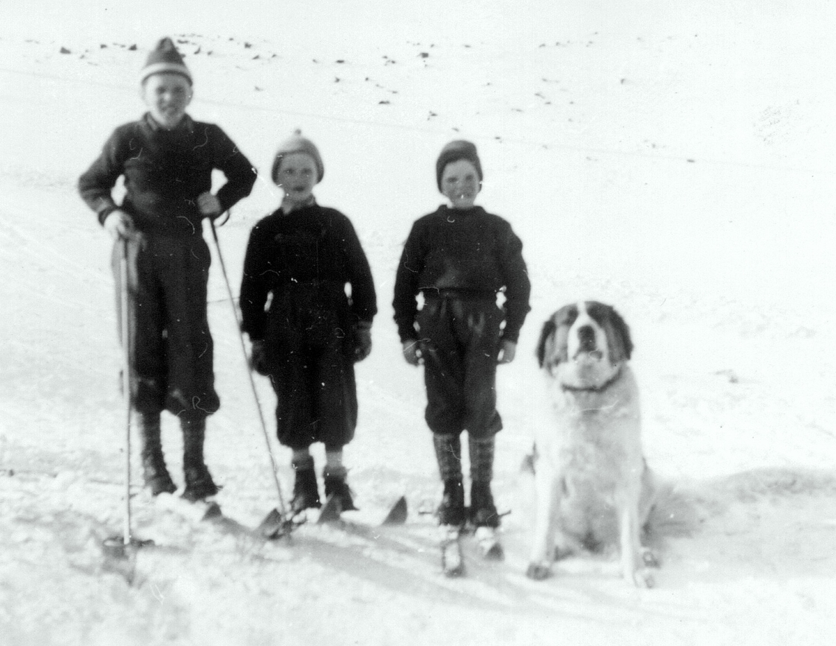 3 gutter og en hund på skitur  Bilde fra Bjørnar Nilsen, sønn av stiger Johannes Nilsen Støpseth, som var her i 40 år.