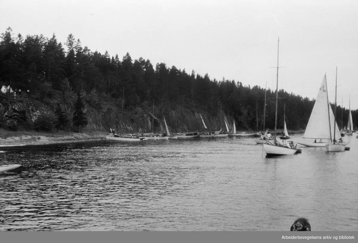 Langåra, formelt Nordre Langåra. Øy i Indre Oslofjord. Udatert. 1947 - 1948