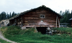 Stubsjøen 1980, fjøs