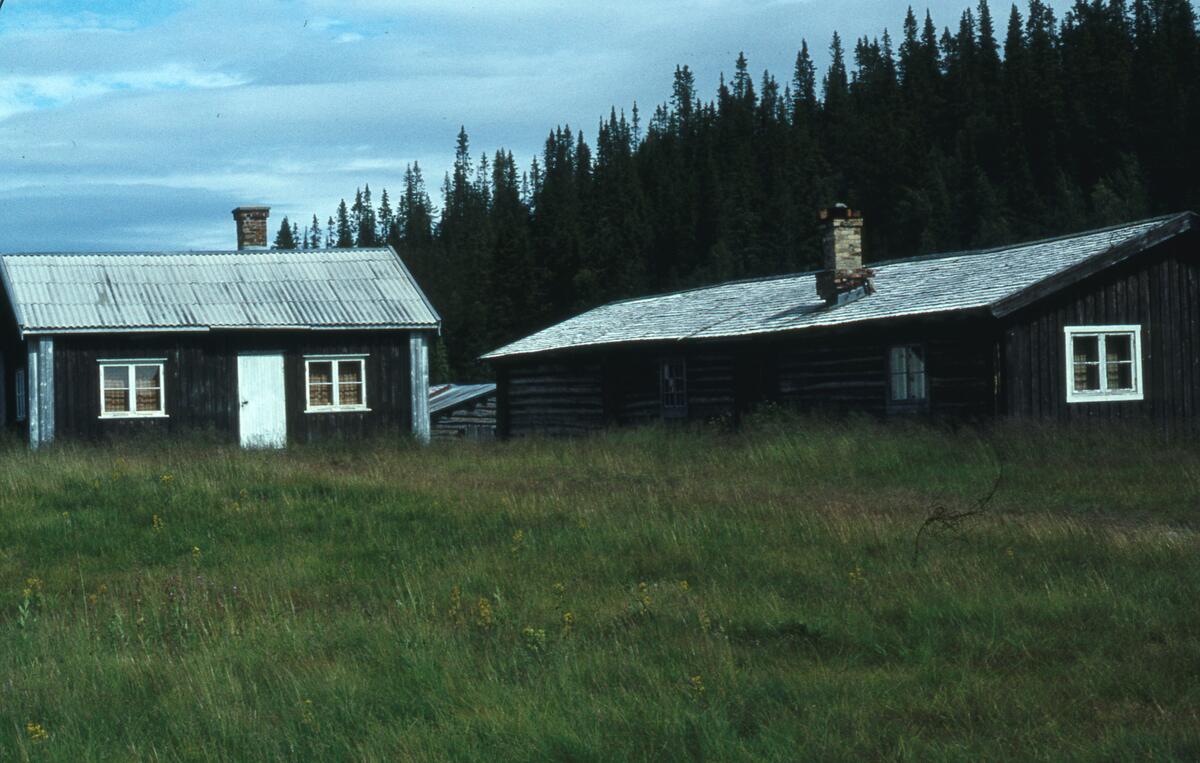 Rendalen.1980