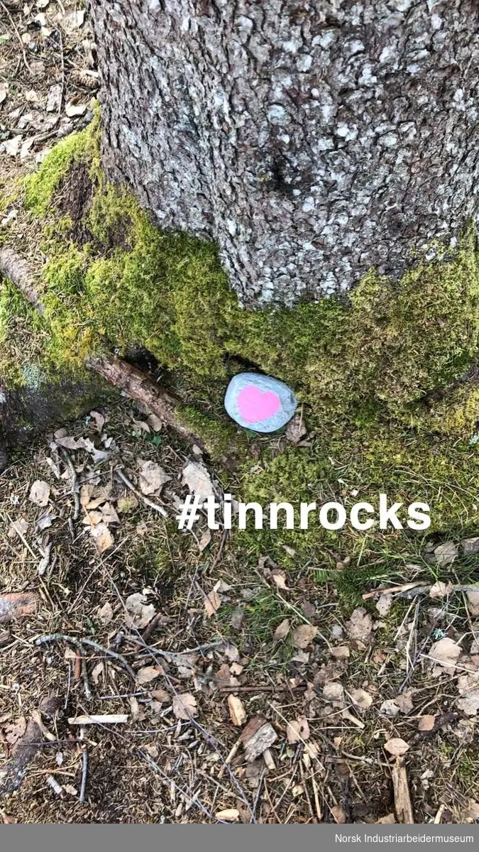 Tinn rocks.
På tur langs stien Vassreisa i Atrå dukket disse fine steinene opp, og etterhvert mange fler. Blir glad av å se og finne disse fargerike innslagene.