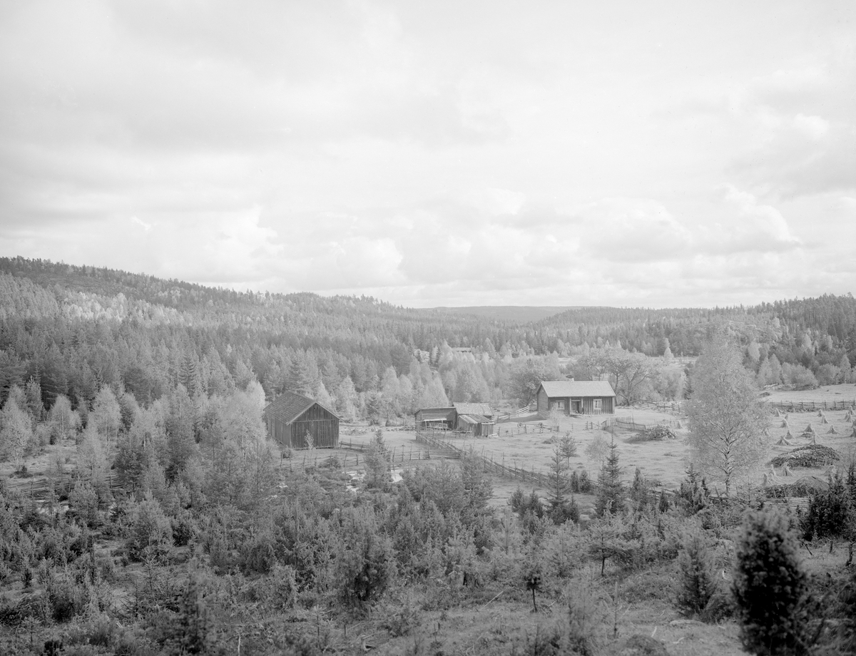 I en glänta i skogslandskapet. Kvarntorpet under Attarps kvarn i Svinhult socken. Året är 1924.