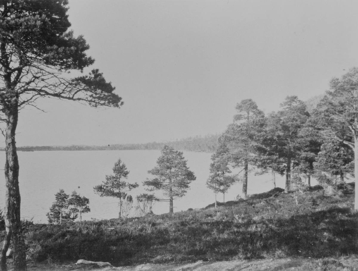 Prospekt, landskap. Setervatn på Strøm, Melandsjø, Hitra. utsikt mot nord fra familen Juul sin hytte. Til høyre er Eldsfjellet med Seterlia.