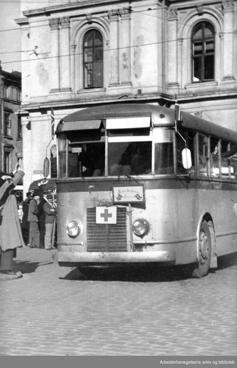 Transport av tidligere fanger fra Grini fangeleir i busser til Oslo. Østbanen. Onsdag 9. mai 1945.
