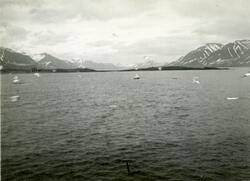 Bilder fra Sveagruva 1924-1925. Bildene er fra en samling et