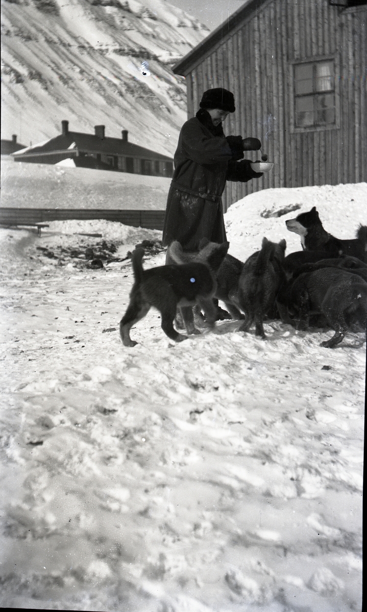 Bilder fra Sveagruva 1924-1925. Bildene er fra en samling etter Erik Andersson(04.11.1901-15.12.1994) fra Spånga i Stockholm. Tihører aksesjon SVB 2021-07