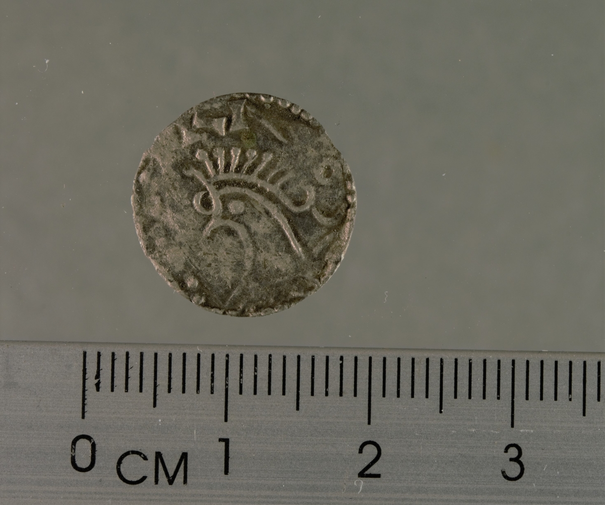 Mynt i sølv preget under Olav Kyrre (1067-1093). Forholdsvis godt bevart, slik at brystbildet, en dyrelignende figur i profil (adv.) og dobbelkors (rev.) er godt synlig. Kantparti er slitt, men det som kan synes en forvirret omkrift (adv.) og muligens noen runer som virker speilvendte (rev.). Trolig er dette en mynt lik de anonyme penningene i Skaare 1995 bind 2, nr. 31 og 32, antatt å ha blitt preget i tiden 1067-1080. 
