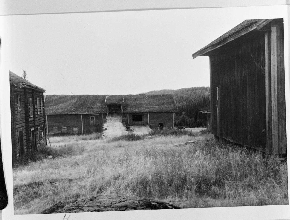 Hågår gård 1956. Hovedbygningen til venstre, stabburet til høgre. Sett fra nord.