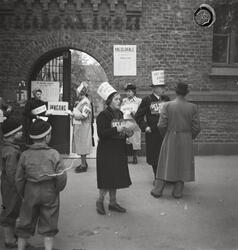 Stortingsvalget 1949. Utenfor valglokalet på Lilleborg skole