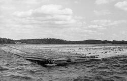 Rringbom under buksering på den finske innsjøen Kirkkojärvi,
