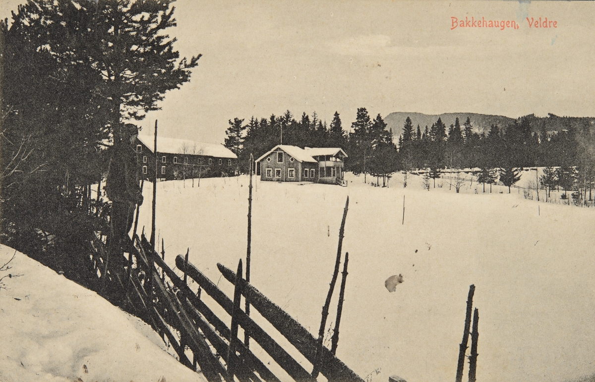 Postkort, Ringsaker, Brumunddal, Bakkehaugen, Veldre, skigard, vinter.