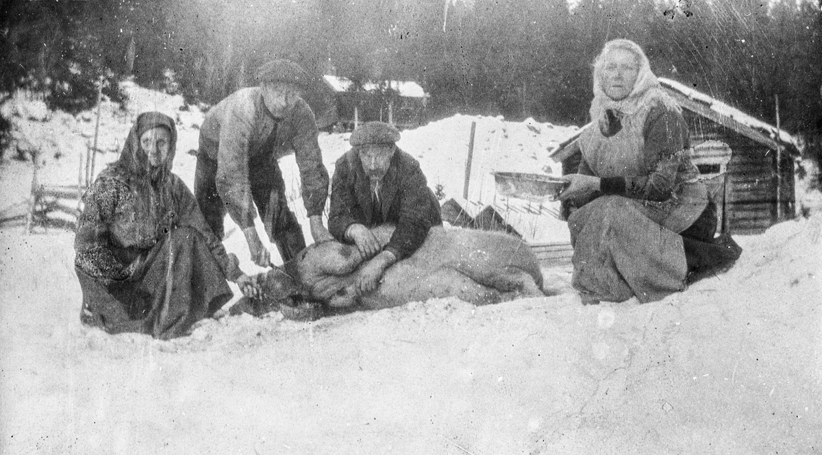 Griseslakting på Søre Kopseng. Blodet tappes. Fra venstre: Svanaug Enderud, slakter Ola Tollefsgård, Kristoffer Kopseng og Marte Kopseng med blodfatet. Uten år. 