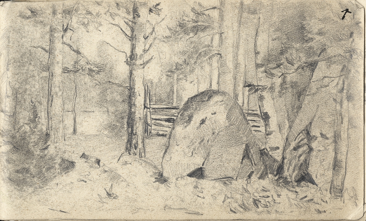 Skiss, blyerts. Ett skogsparti med några större stenar och en gärdesgård i bakgrunden.

Inskrivet i huvudbok 1975.