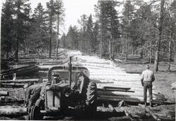 Tømmeropplag i Pasvikdalens skoger. Tømmerdrift. En traktor 